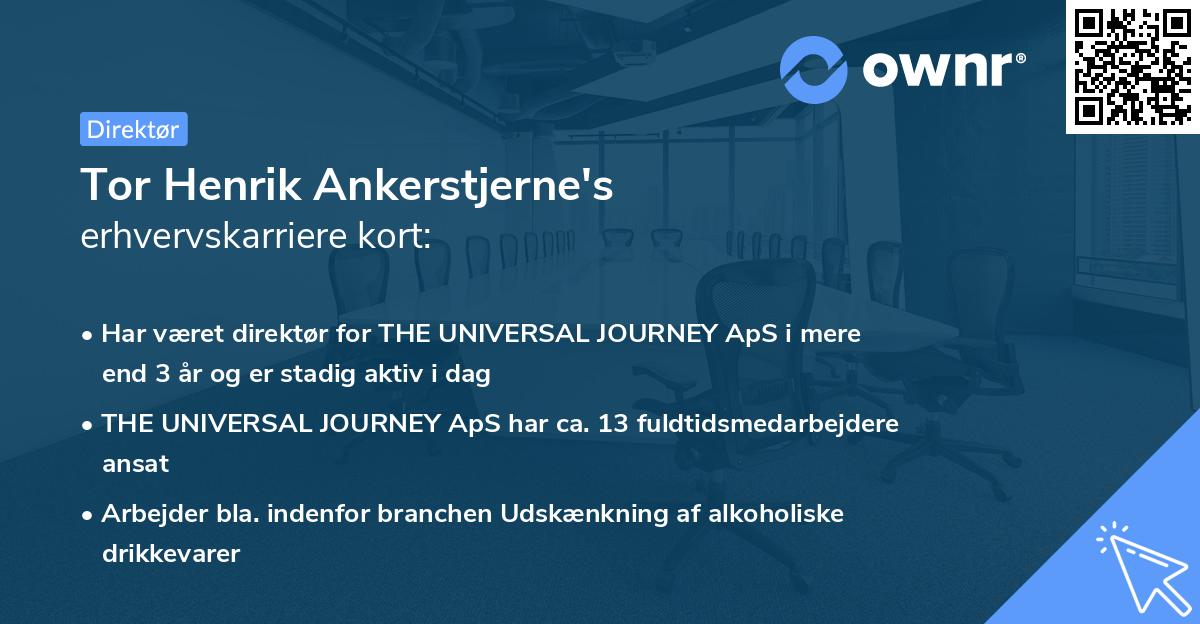 Tor Henrik Ankerstjerne's erhvervskarriere kort