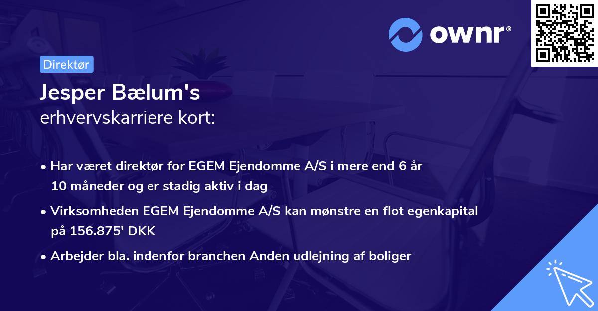 Jesper Bælum's erhvervskarriere kort