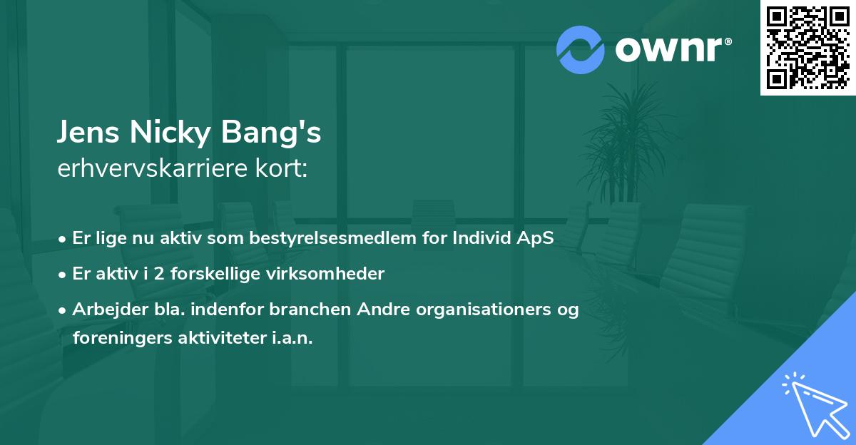 Jens Nicky Bang's erhvervskarriere kort