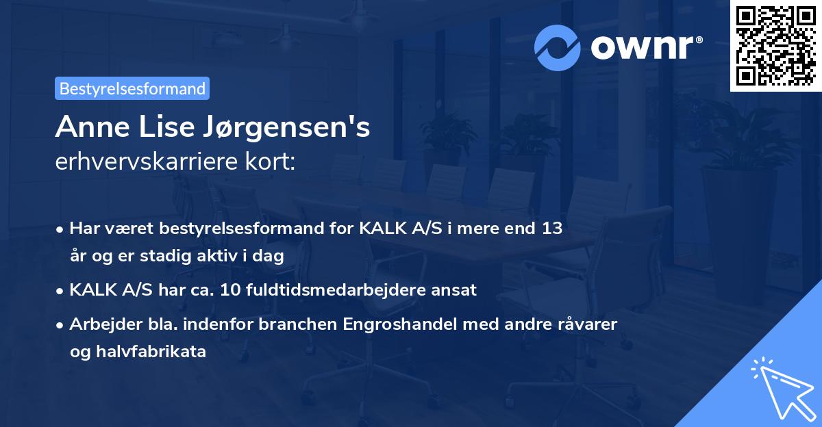 Anne Lise Jørgensen's erhvervskarriere kort