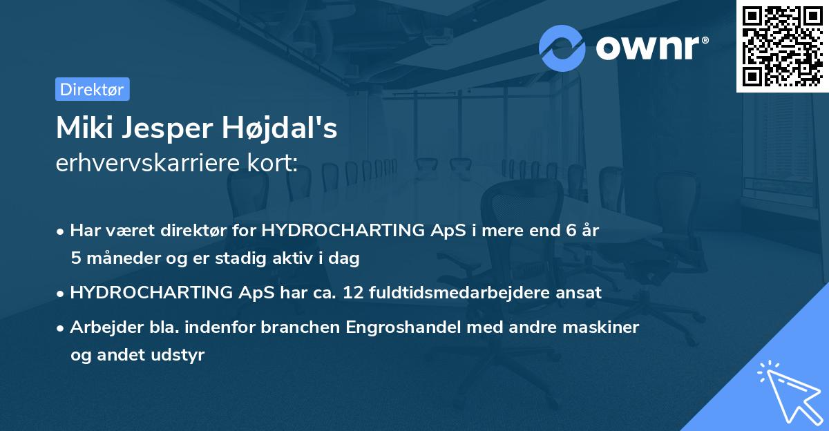 Miki Jesper Højdal's erhvervskarriere kort