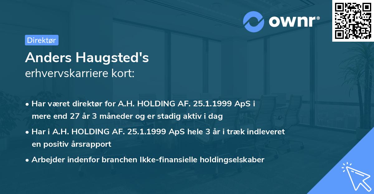 Anders Haugsted's erhvervskarriere kort