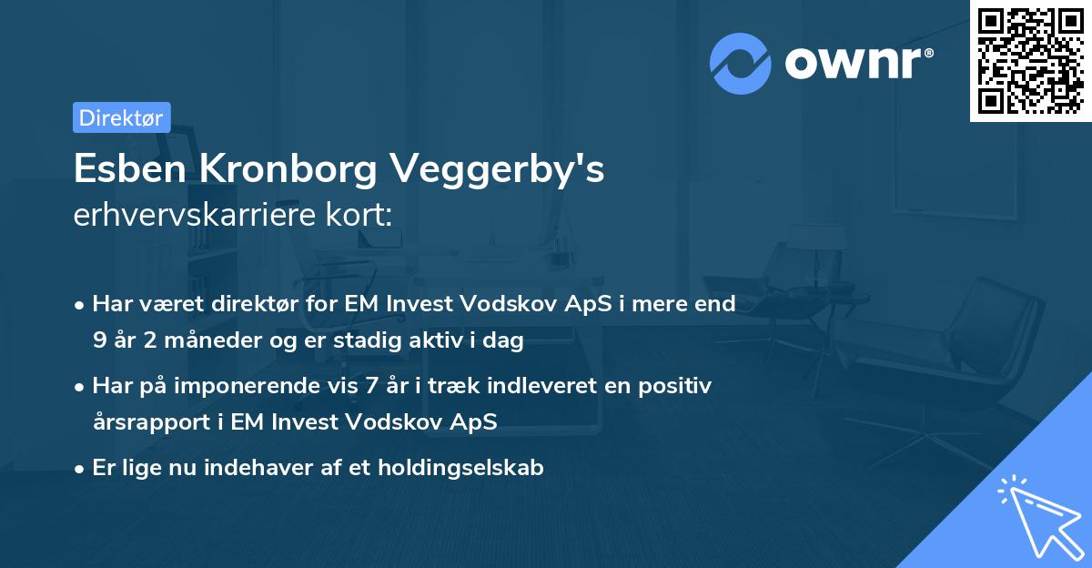 Esben Kronborg Veggerby's erhvervskarriere kort