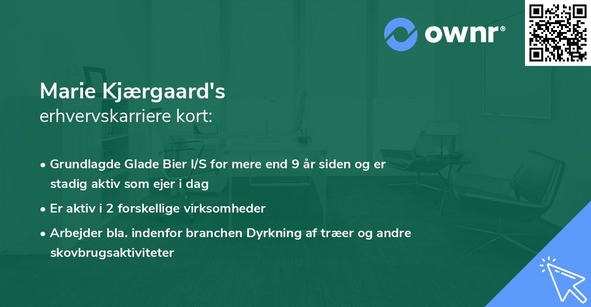 Marie Kjærgaard's erhvervskarriere kort
