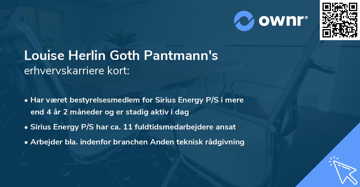 Louise Herlin Goth Pantmann's erhvervskarriere kort