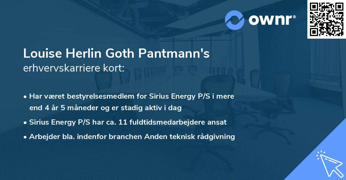 Louise Herlin Goth Pantmann's erhvervskarriere kort