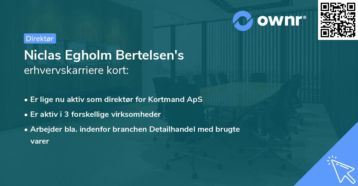Niclas Egholm Bertelsen's erhvervskarriere kort