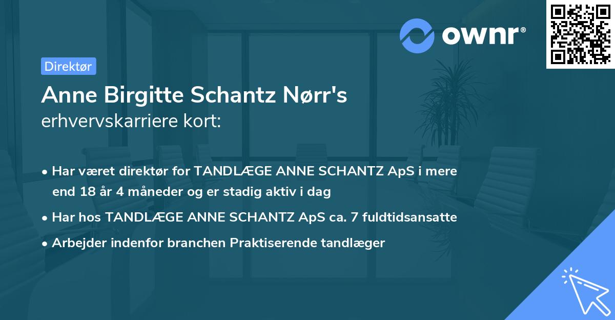 Anne Birgitte Schantz Nørr's erhvervskarriere kort