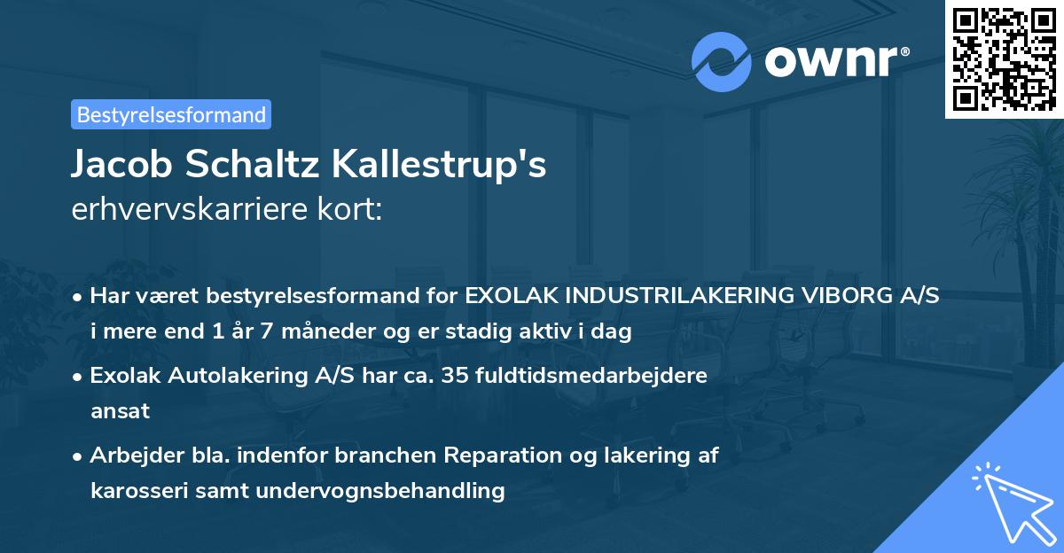 Jacob Schaltz Kallestrup's erhvervskarriere kort