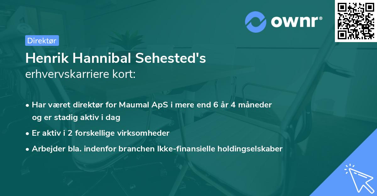 Henrik Hannibal Sehested's erhvervskarriere kort