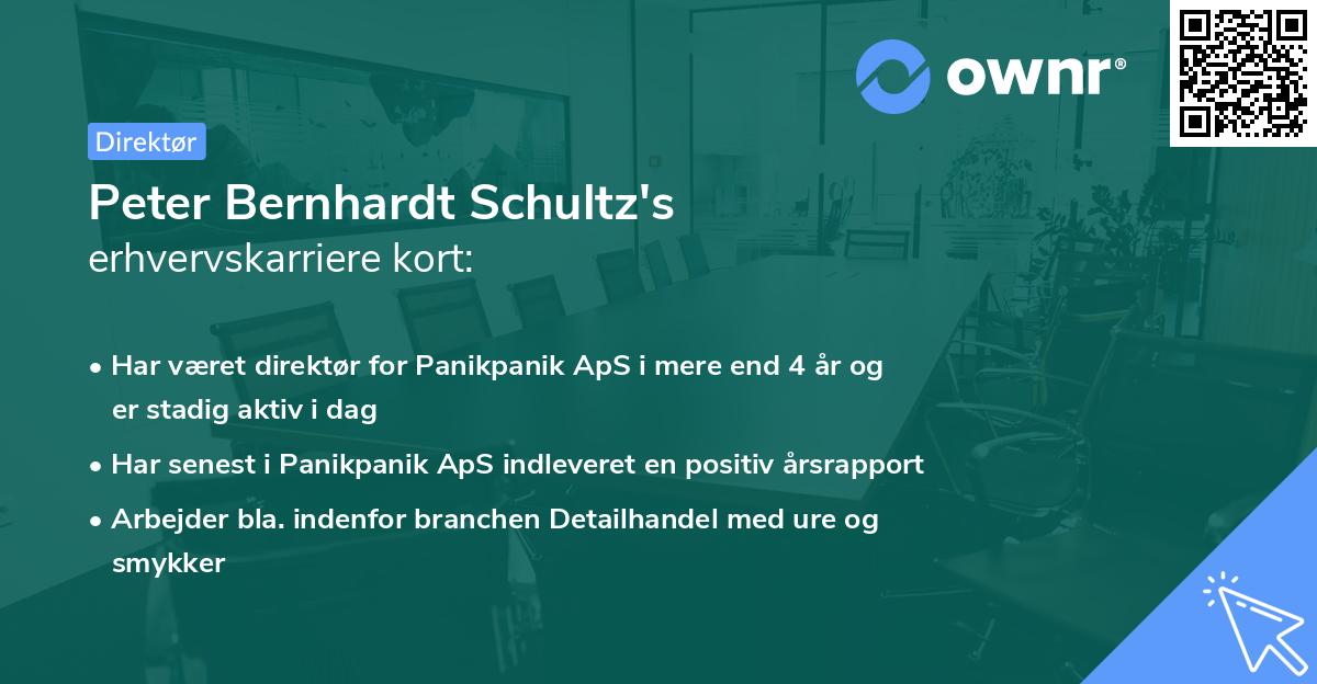 Peter Bernhardt Schultz's erhvervskarriere kort