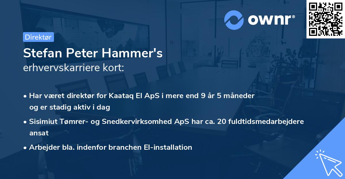 Stefan Peter Hammer's erhvervskarriere kort