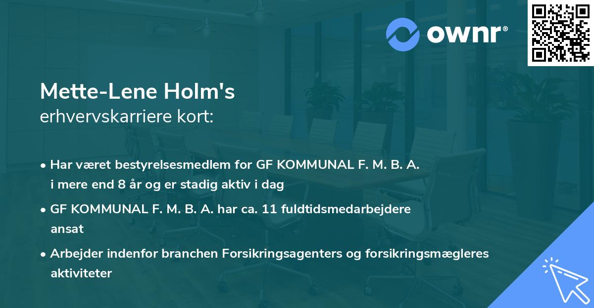 Mette-Lene Holm's erhvervskarriere kort