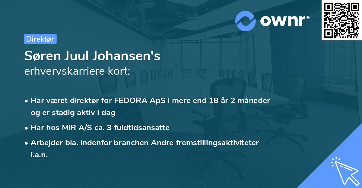 Søren Juul Johansen's erhvervskarriere kort