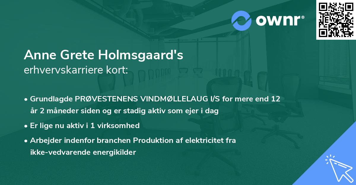 Anne Grete Holmsgaard's erhvervskarriere kort