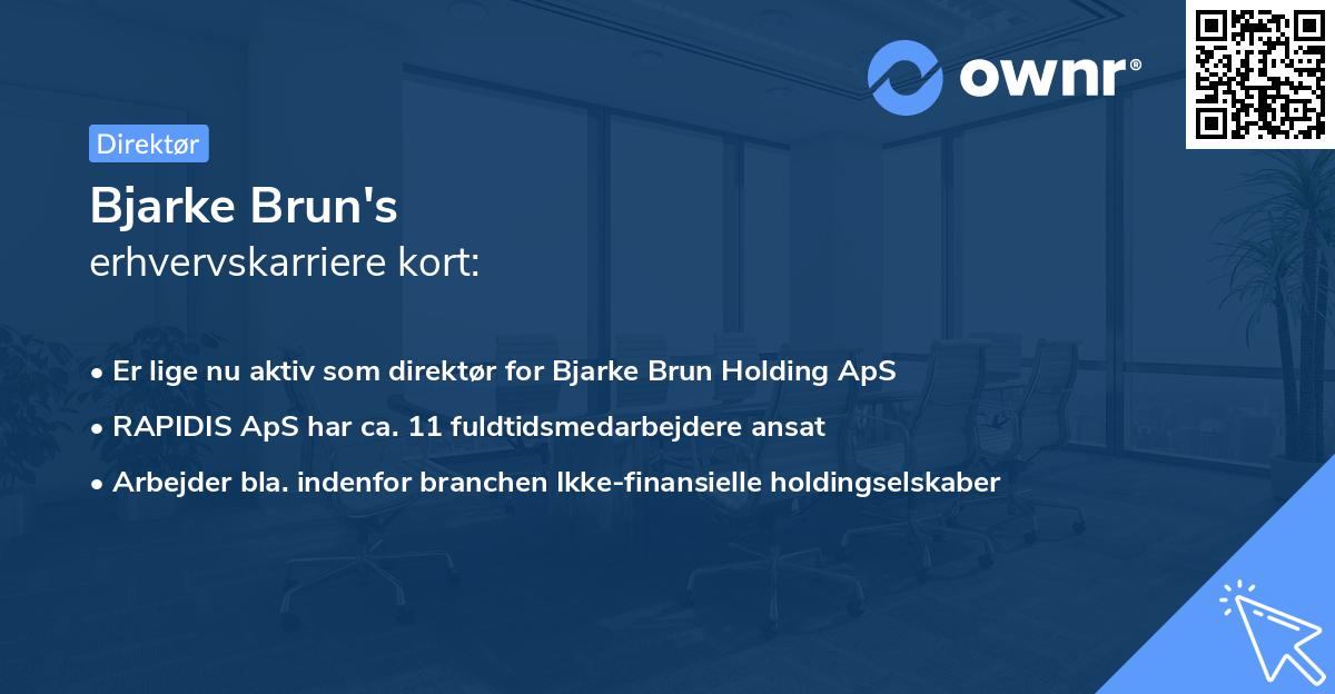 Bjarke Brun's erhvervskarriere kort