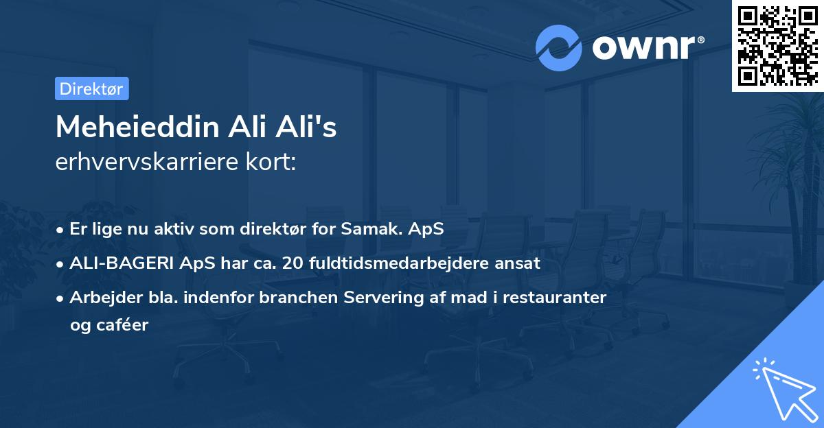 Meheieddin Ali Ali's erhvervskarriere kort