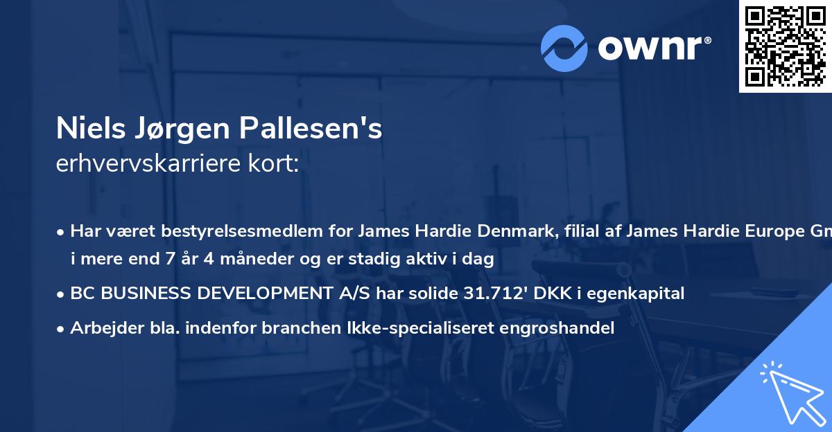 Niels Jørgen Pallesen's erhvervskarriere kort