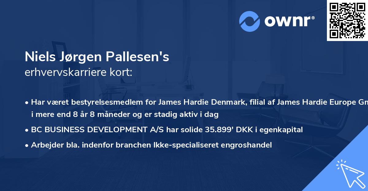 Niels Jørgen Pallesen's erhvervskarriere kort
