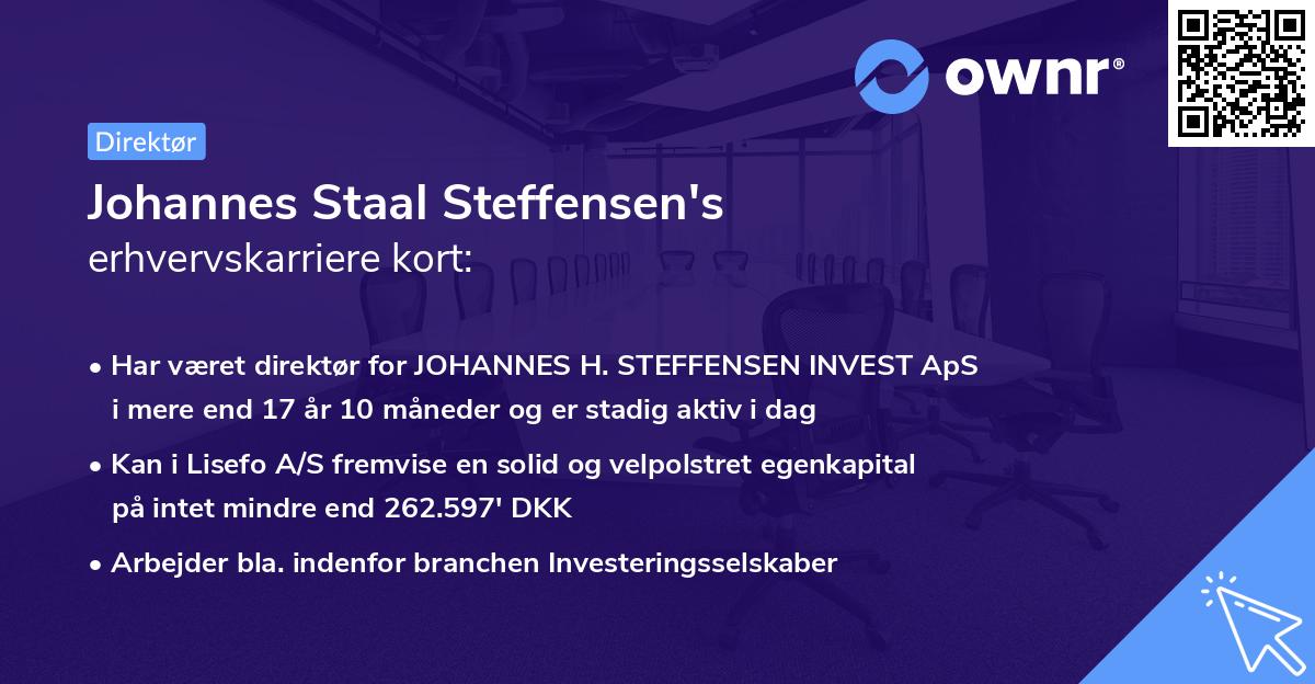 Johannes Staal Steffensen's erhvervskarriere kort