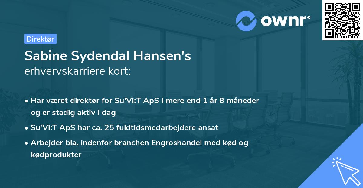 Sabine Sydendal Hansen's erhvervskarriere kort