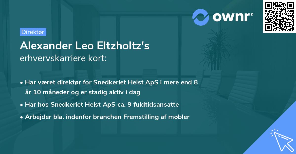 Alexander Leo Eltzholtz's erhvervskarriere kort