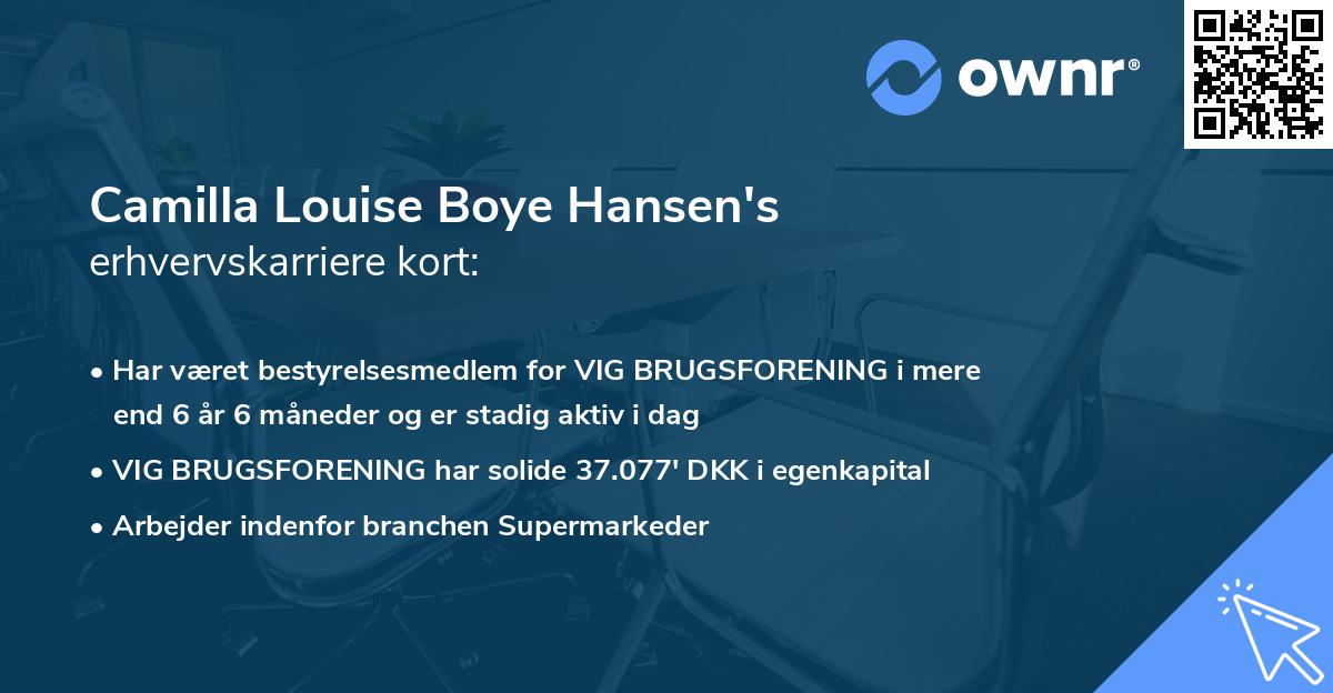 Camilla Louise Boye Hansen's erhvervskarriere kort