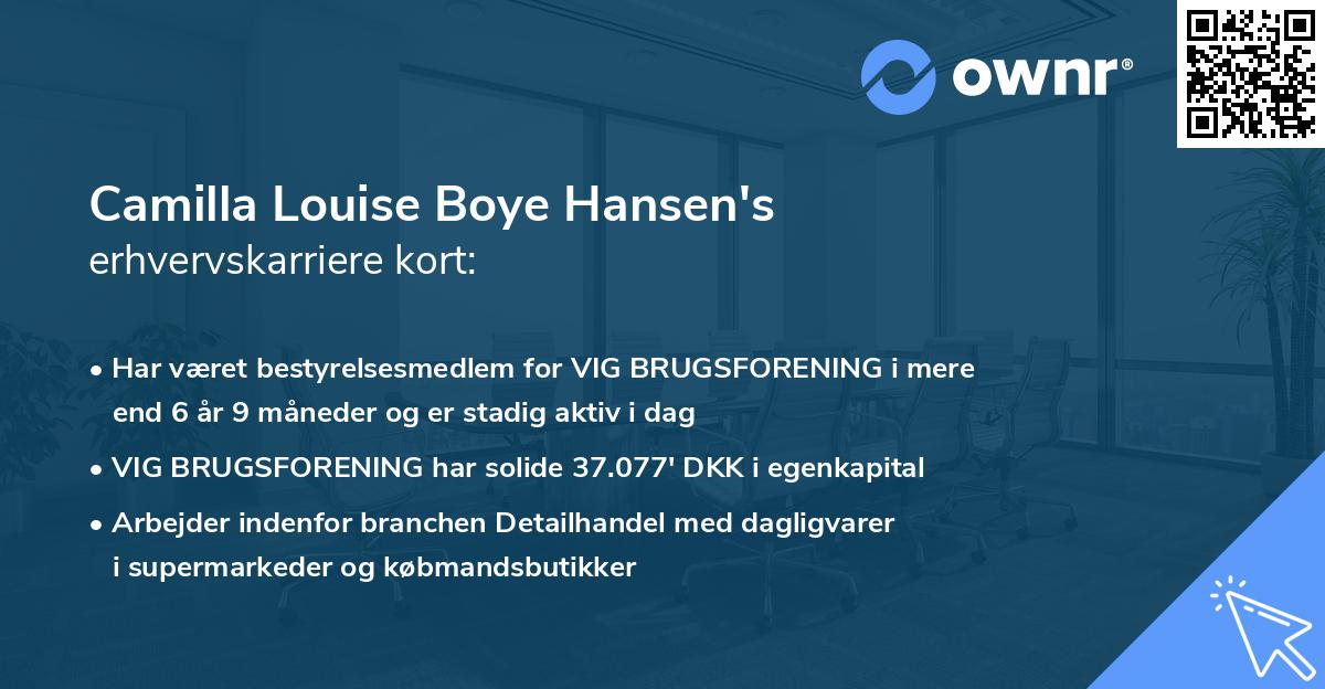 Camilla Louise Boye Hansen's erhvervskarriere kort