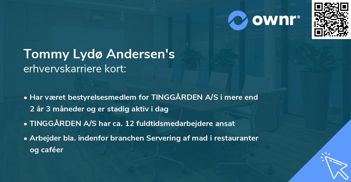 Tommy Lydø Andersen's erhvervskarriere kort