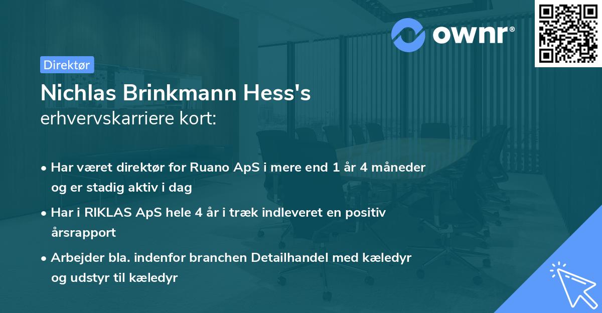 Nichlas Brinkmann Hess's erhvervskarriere kort