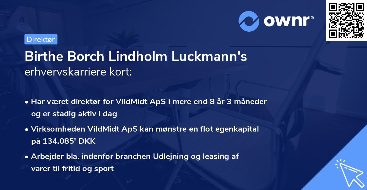 Birthe Borch Lindholm Luckmann's erhvervskarriere kort