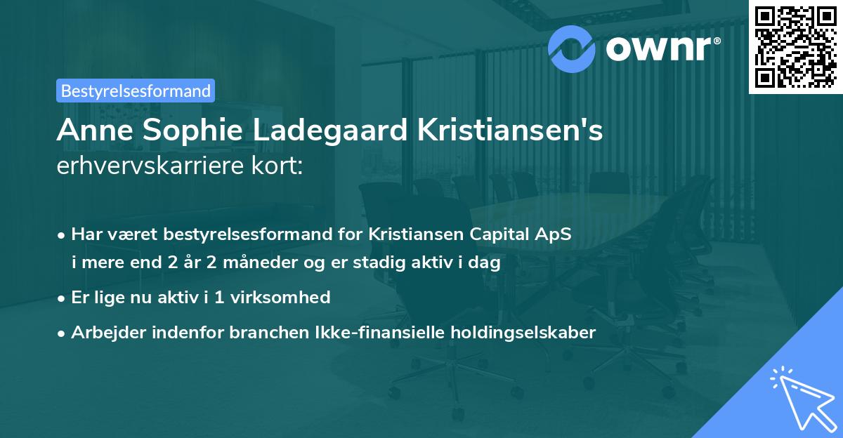 Anne Sophie Ladegaard Kristiansen's erhvervskarriere kort