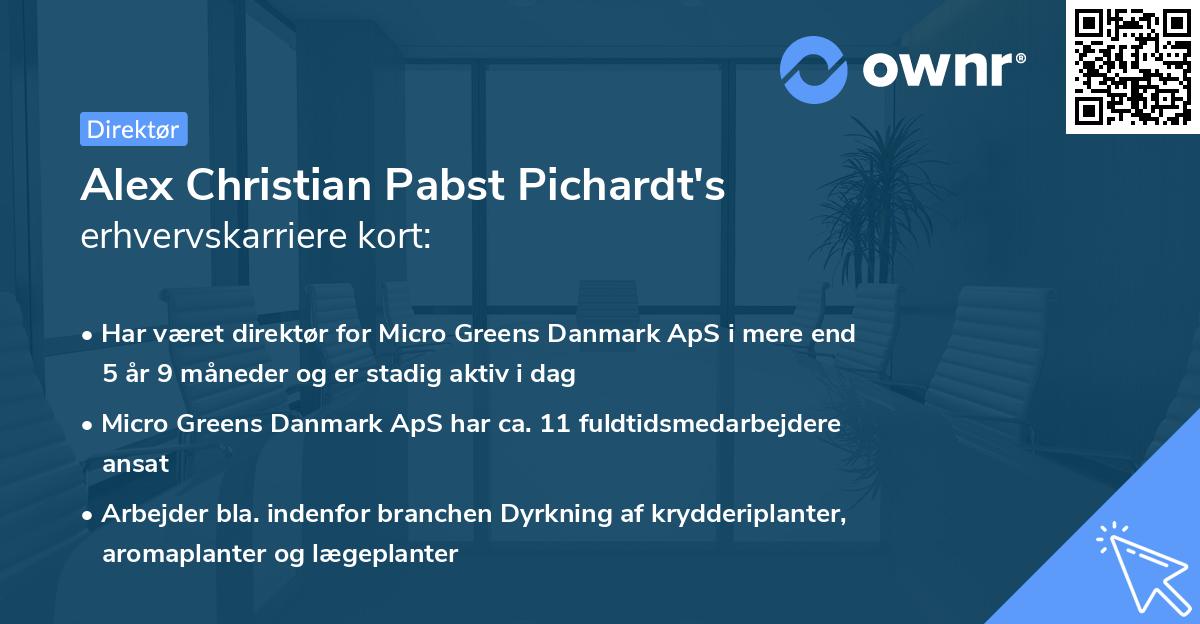 Alex Christian Pabst Pichardt's erhvervskarriere kort