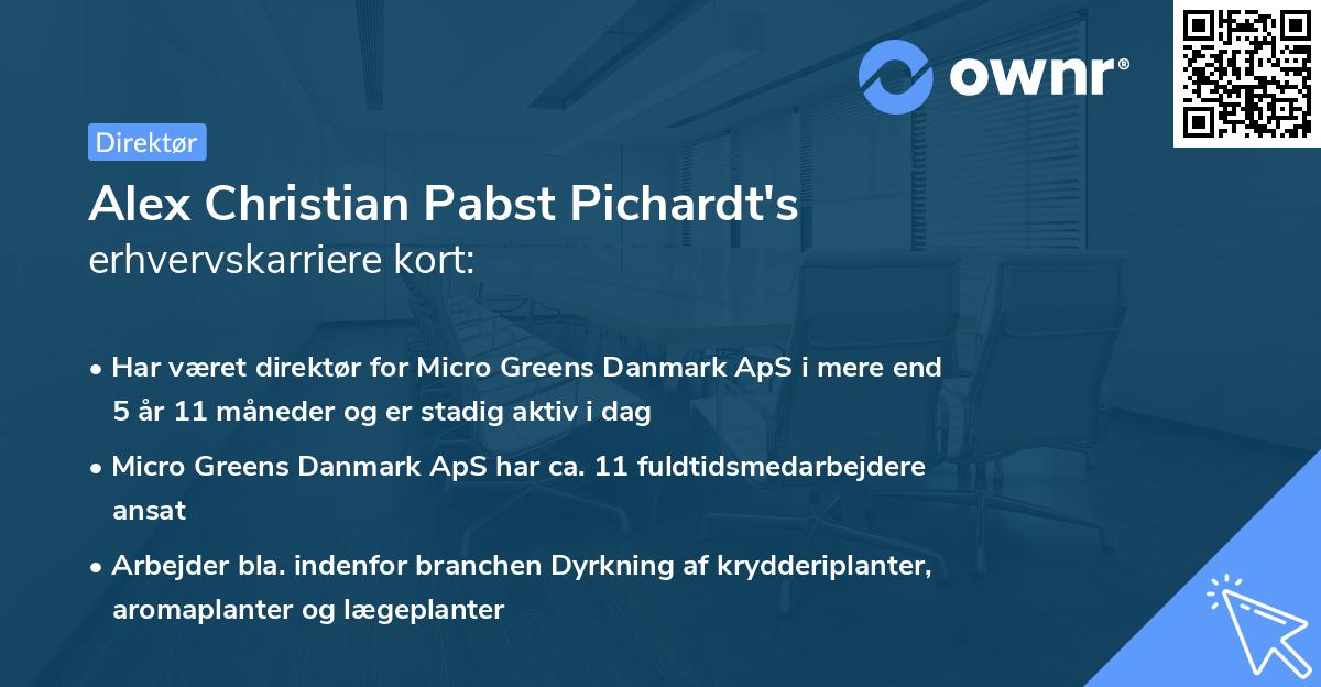 Alex Christian Pabst Pichardt's erhvervskarriere kort