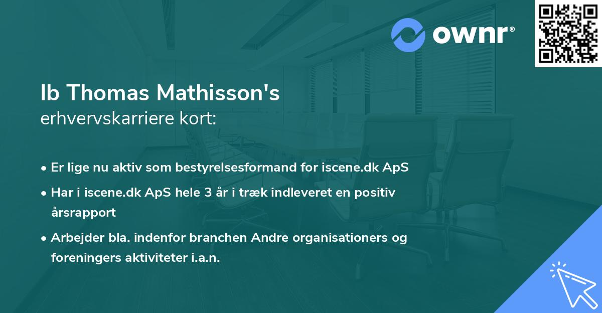 Ib Thomas Mathisson's erhvervskarriere kort