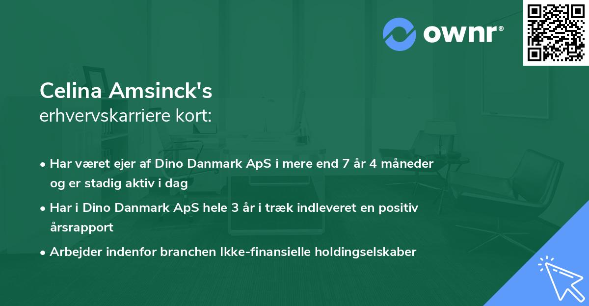 Celina Amsinck's erhvervskarriere kort