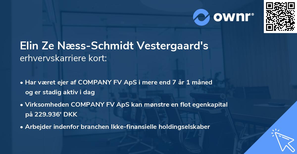 Elin Ze Næss-Schmidt Vestergaard's erhvervskarriere kort