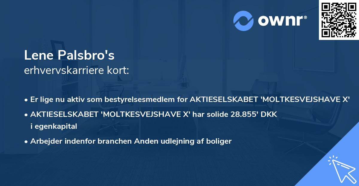 Lene Palsbro's erhvervskarriere kort