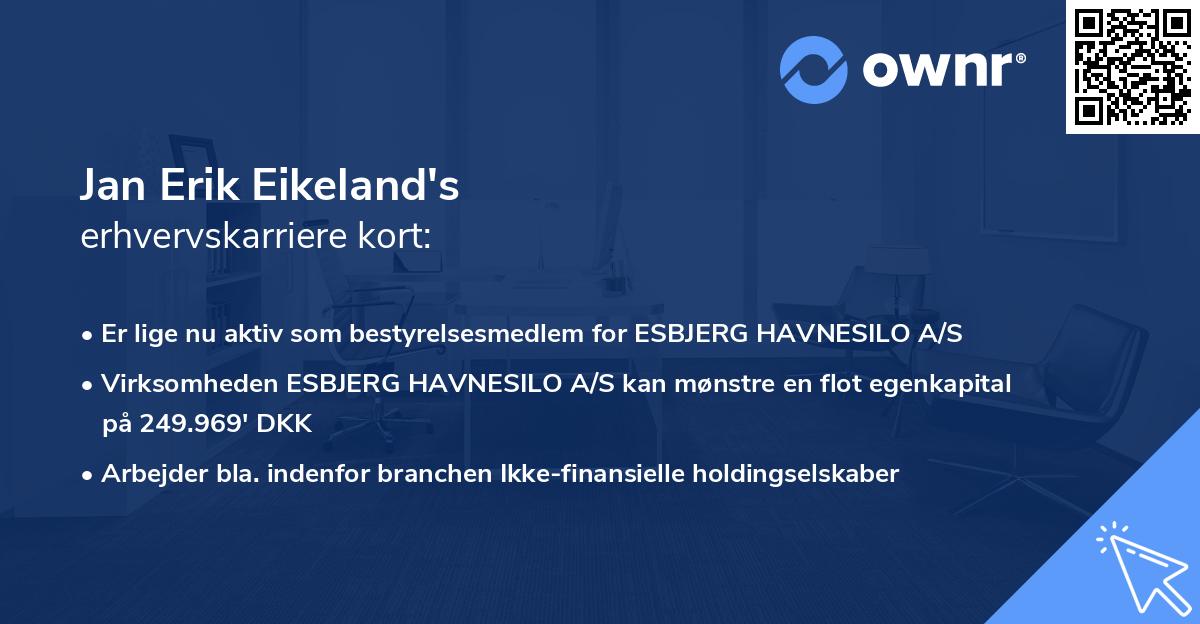 Jan Erik Eikeland's erhvervskarriere kort