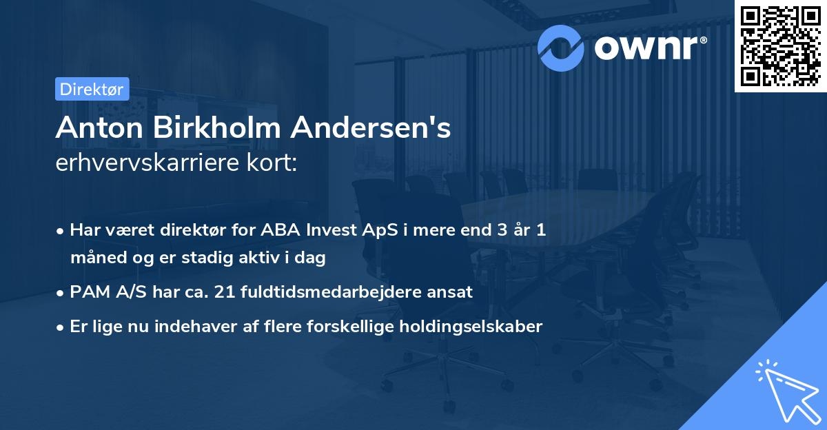 Anton Birkholm Andersen's erhvervskarriere kort