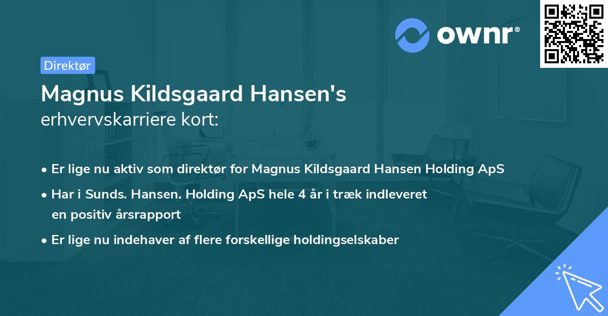 Magnus Kildsgaard Hansen's erhvervskarriere kort