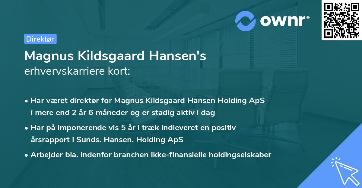 Magnus Kildsgaard Hansen's erhvervskarriere kort
