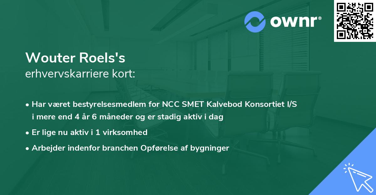 Wouter Roels's erhvervskarriere kort