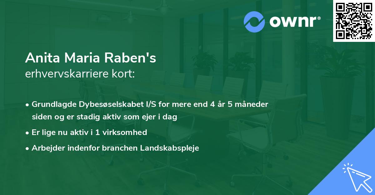 Anita Maria Raben's erhvervskarriere kort