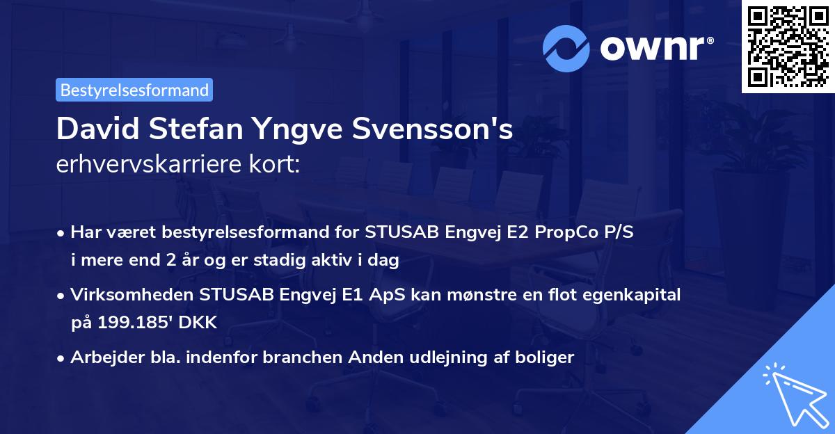 David Stefan Yngve Svensson's erhvervskarriere kort