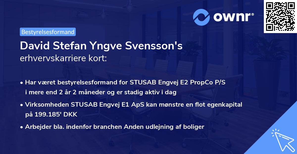 David Stefan Yngve Svensson's erhvervskarriere kort