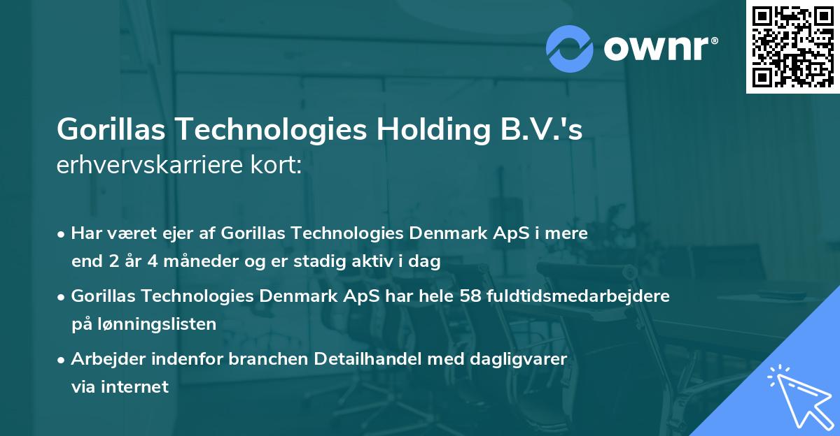 Gorillas Technologies Holding B.V.'s erhvervskarriere kort