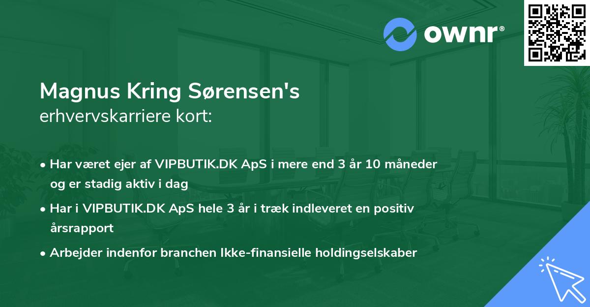 Magnus Kring Sørensen's erhvervskarriere kort