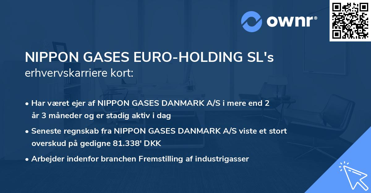 NIPPON GASES EURO-HOLDING SL's erhvervskarriere kort