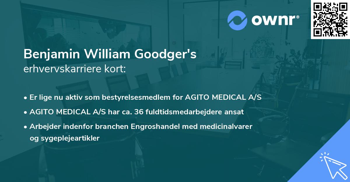 Benjamin William Goodger's erhvervskarriere kort